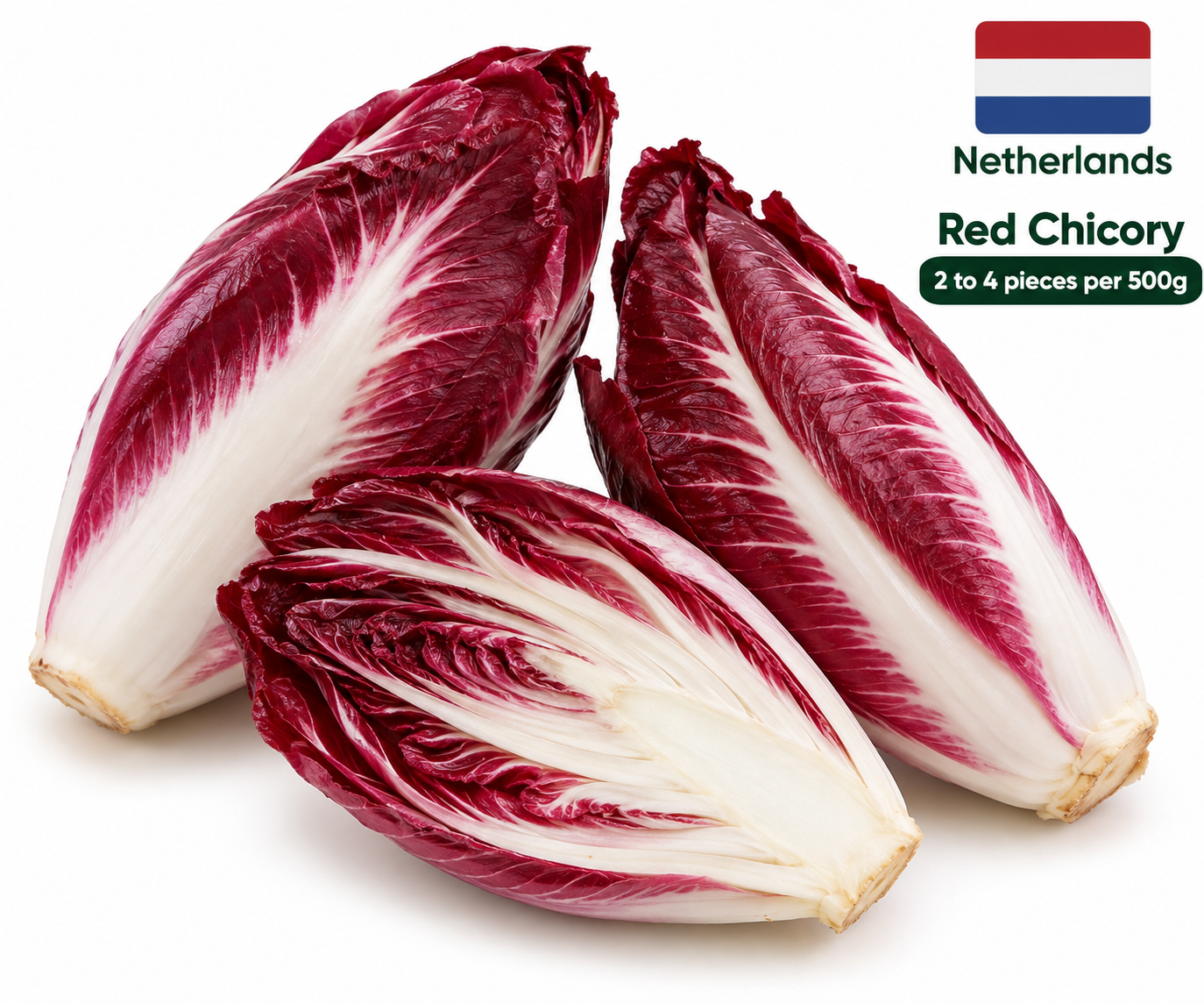Red Chicory