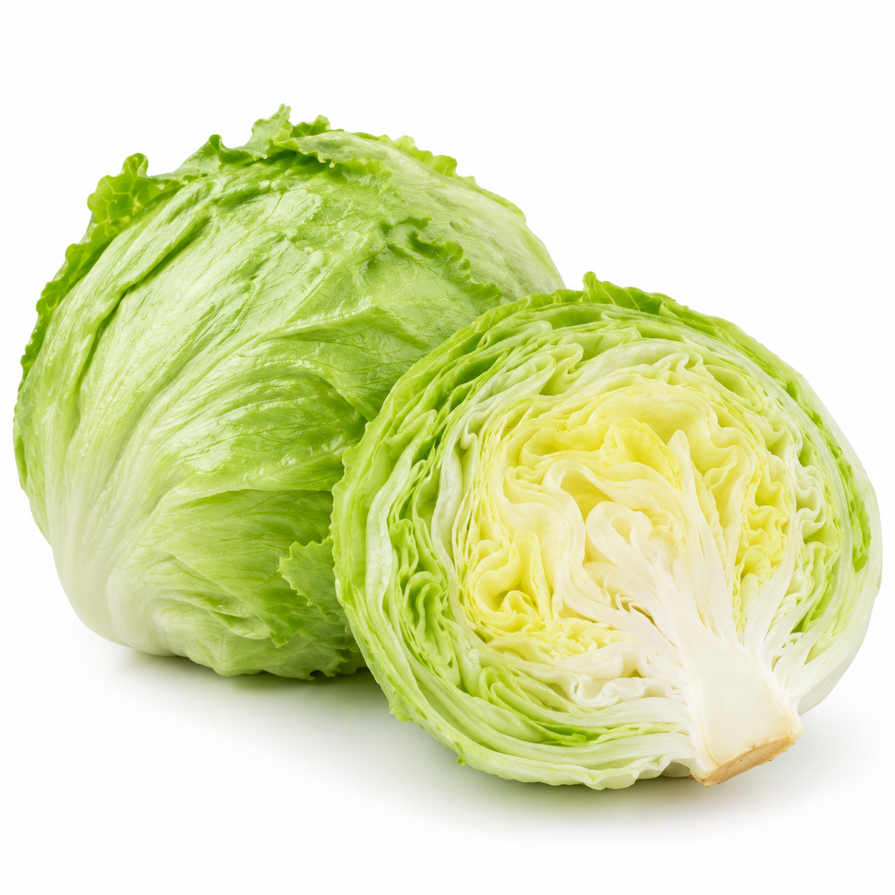 Iceberg Lettuce