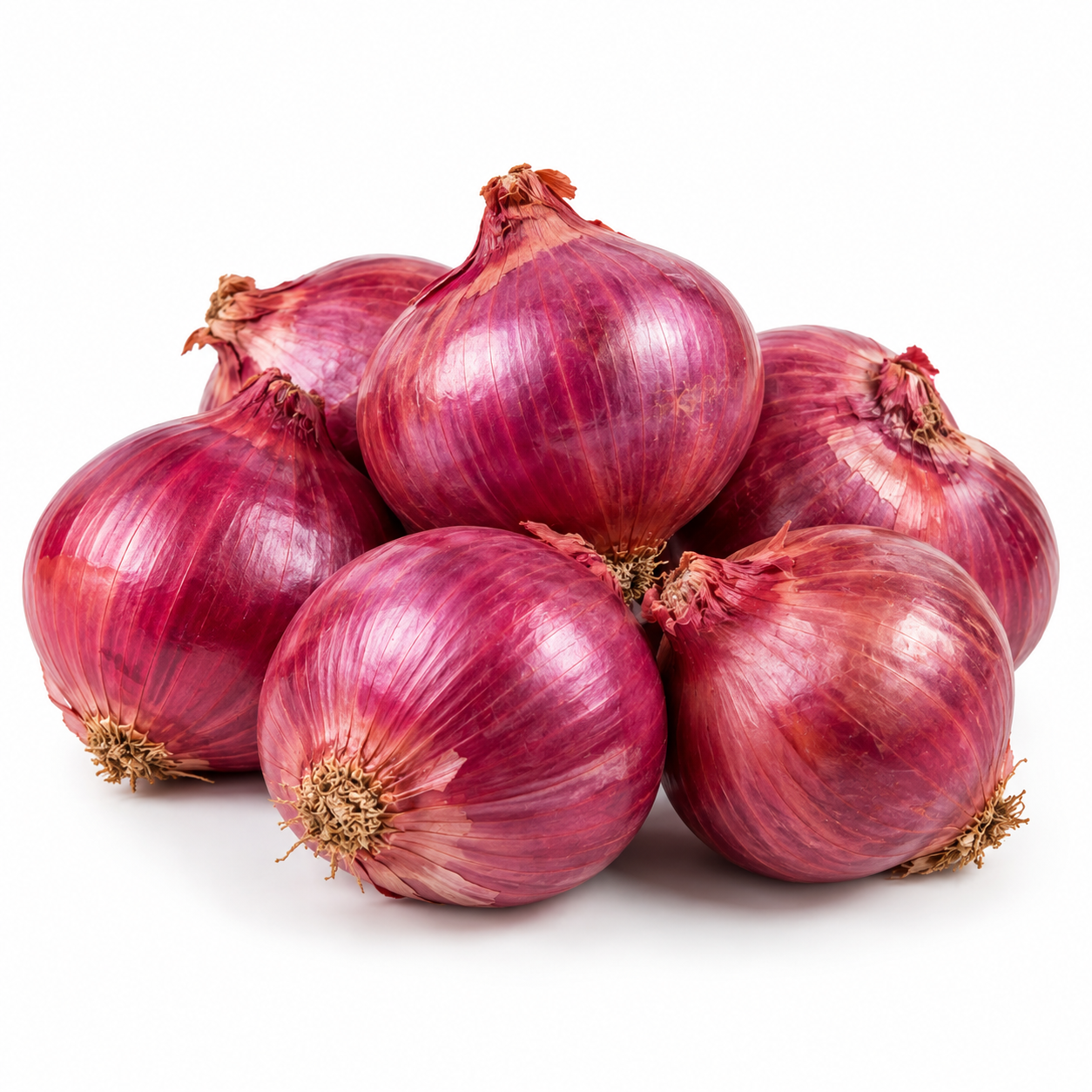 Onion Red Pakstan