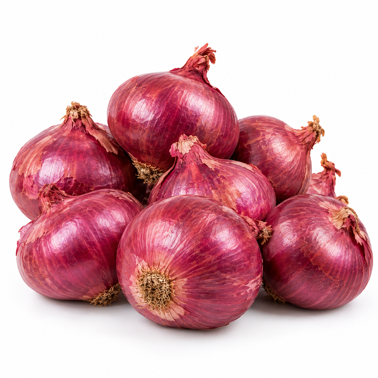 Onion Red Pakstan