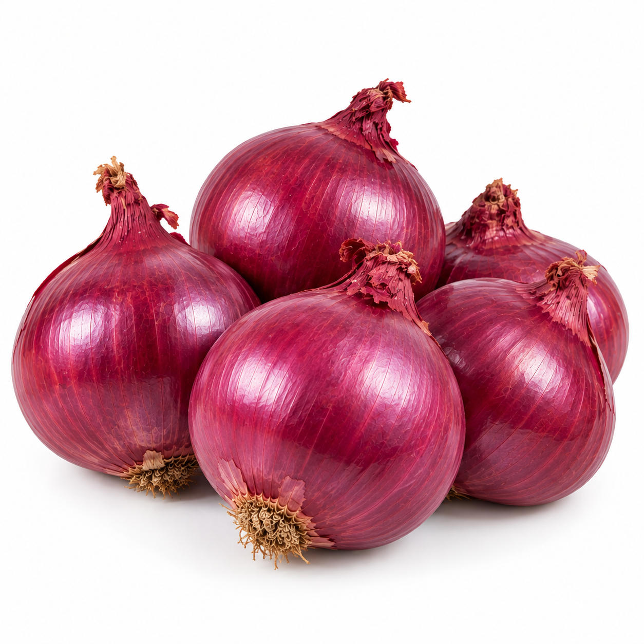 Onion Red Turkey