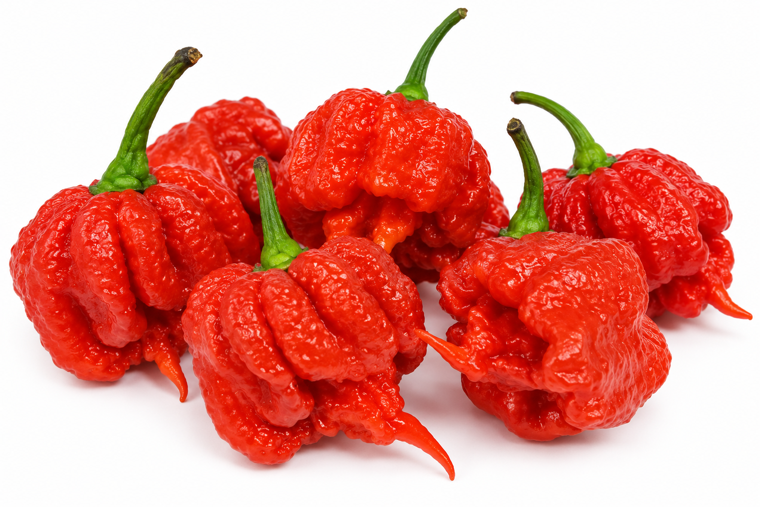 Carolina Reaper Chillies
