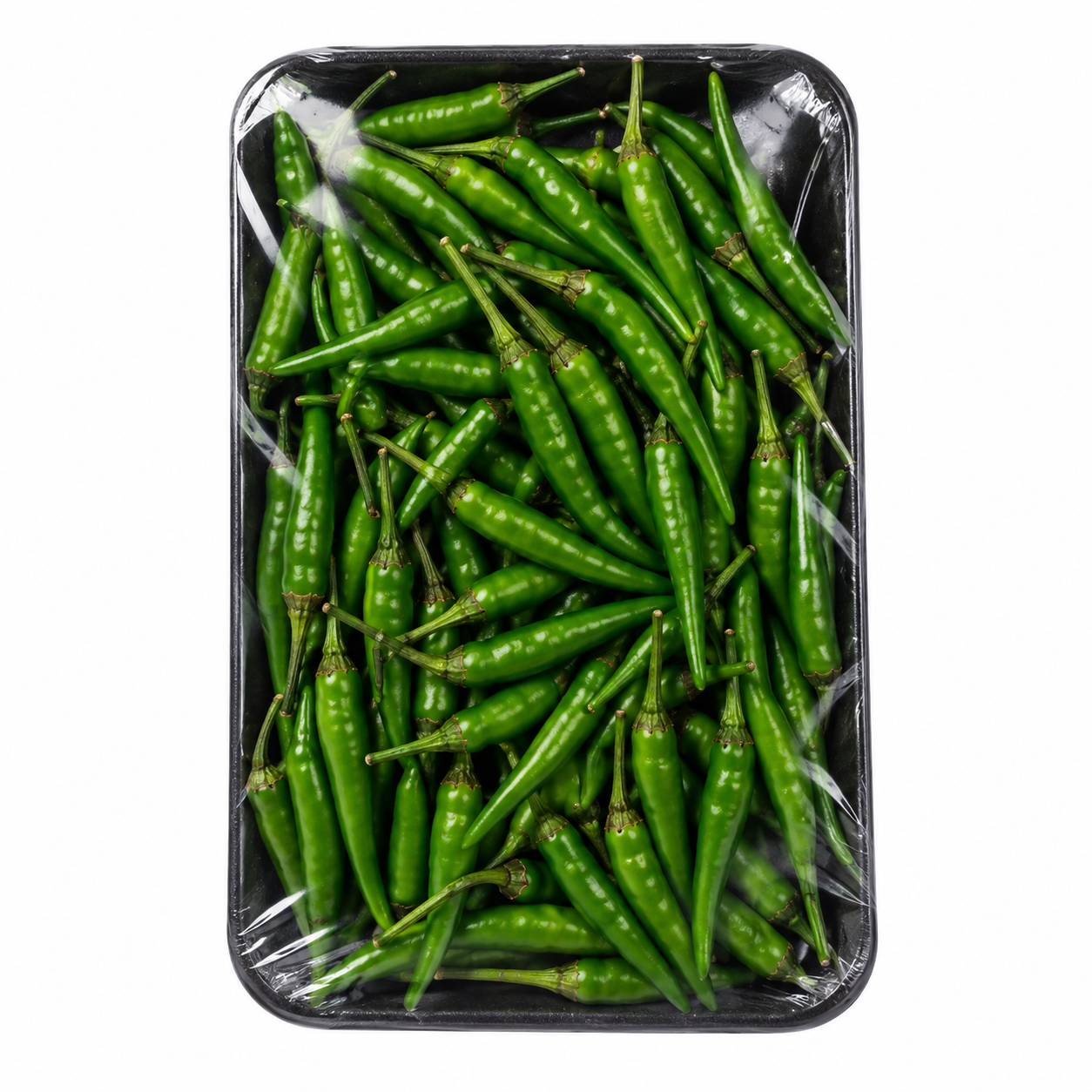Fresh Chili India