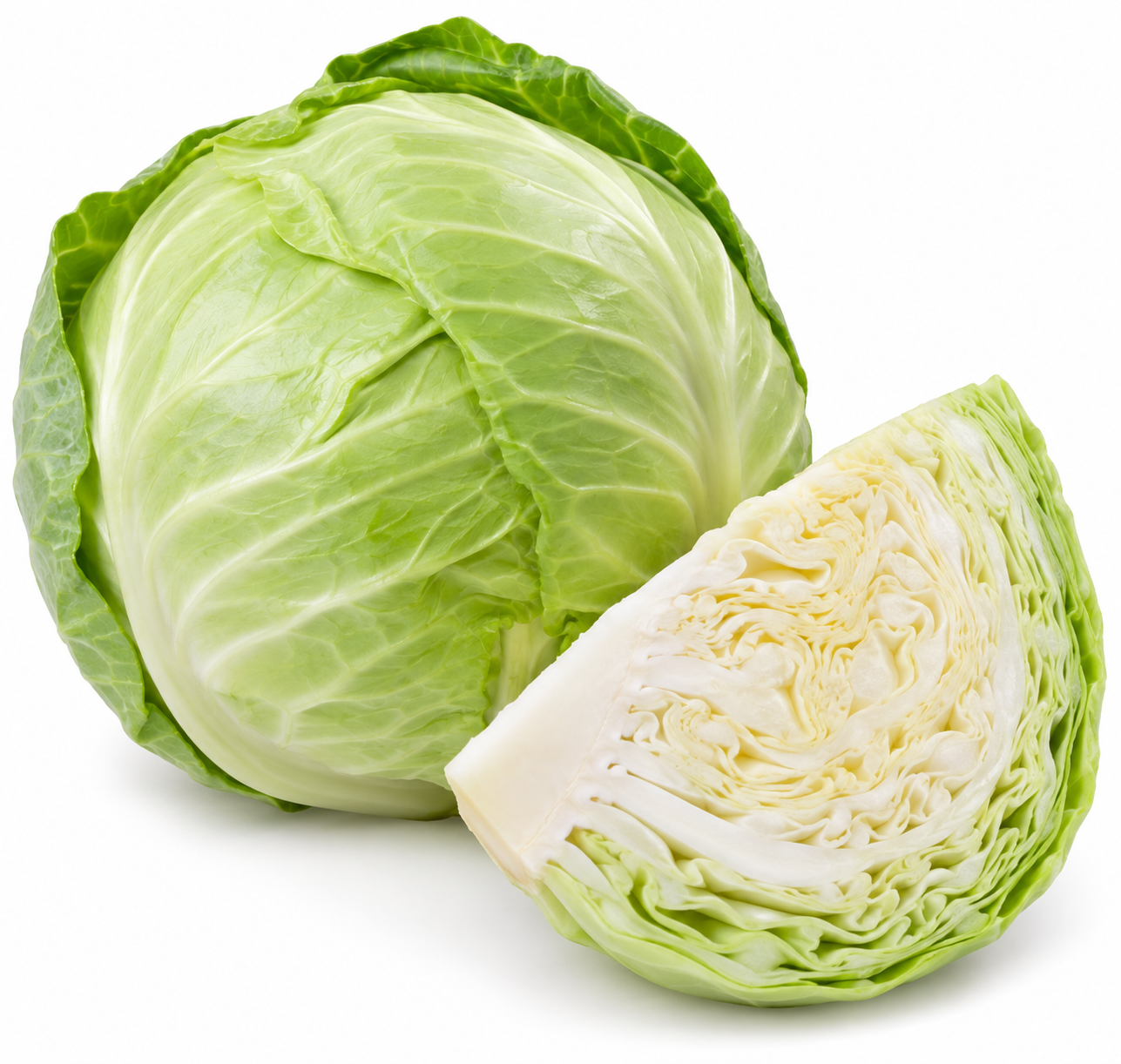 Fresh Cabbage White