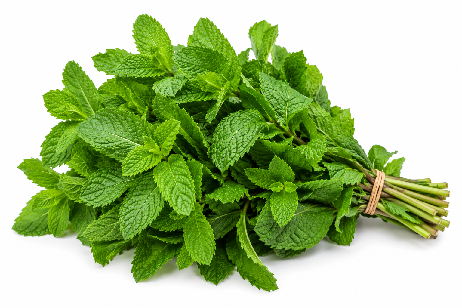 Mint Leaves