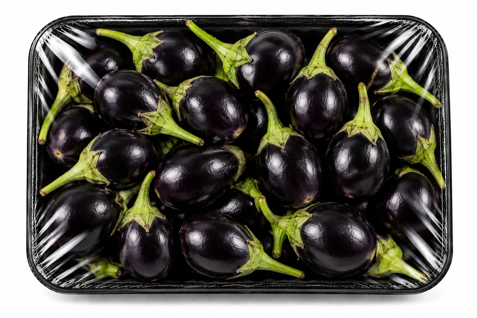 Fresh Eggplant Baby