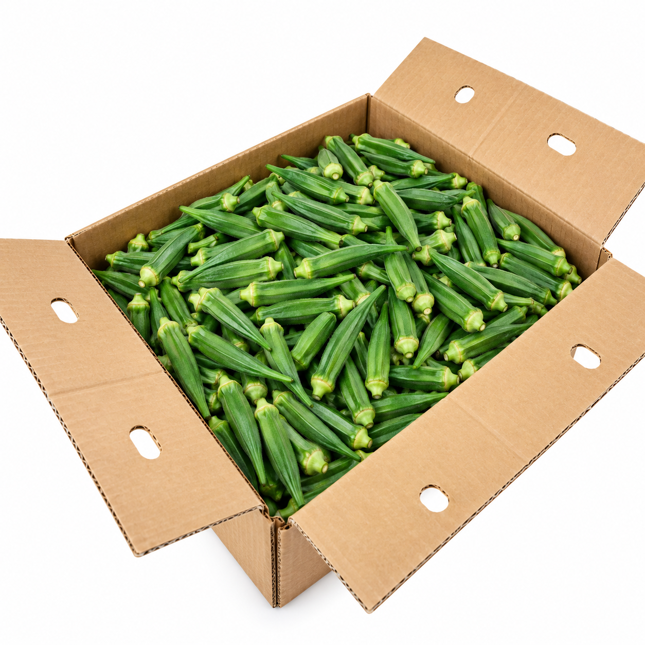Okra