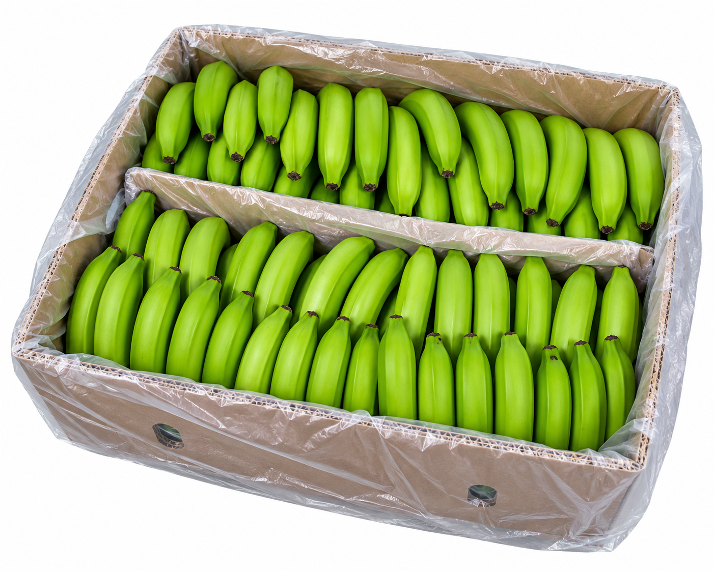 Unripe Bananas