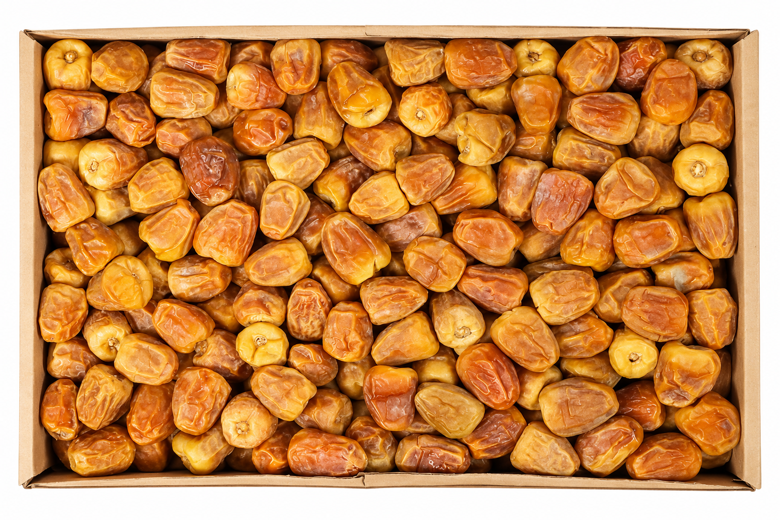 Sukkari Dates