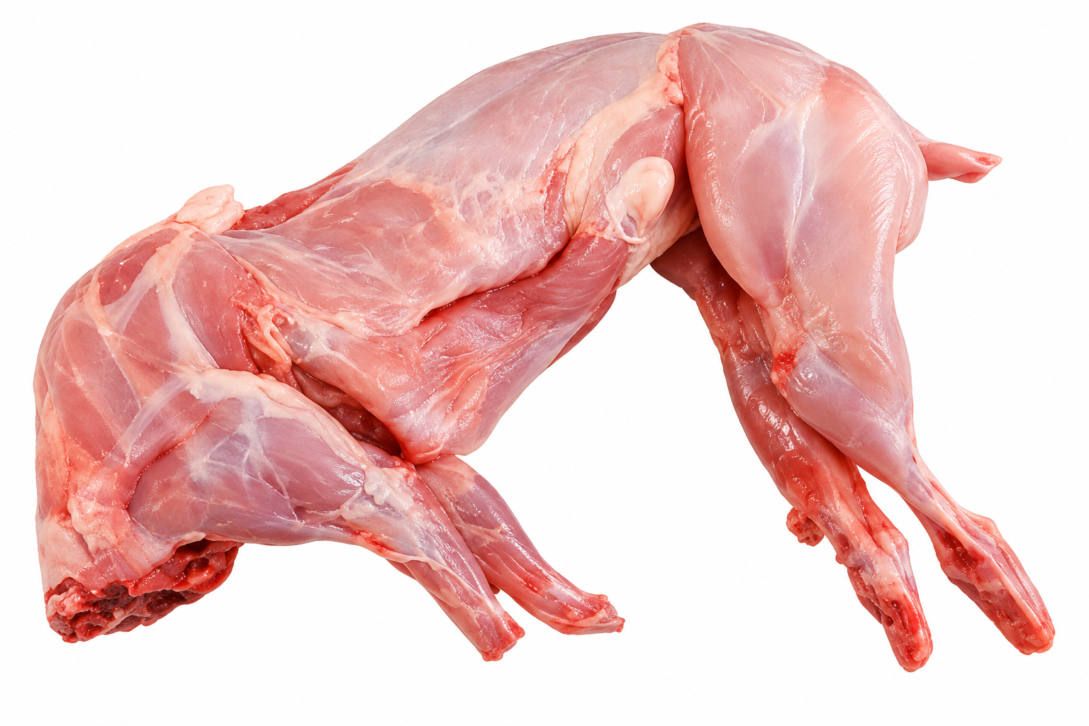 Fresh Whole Rabbit